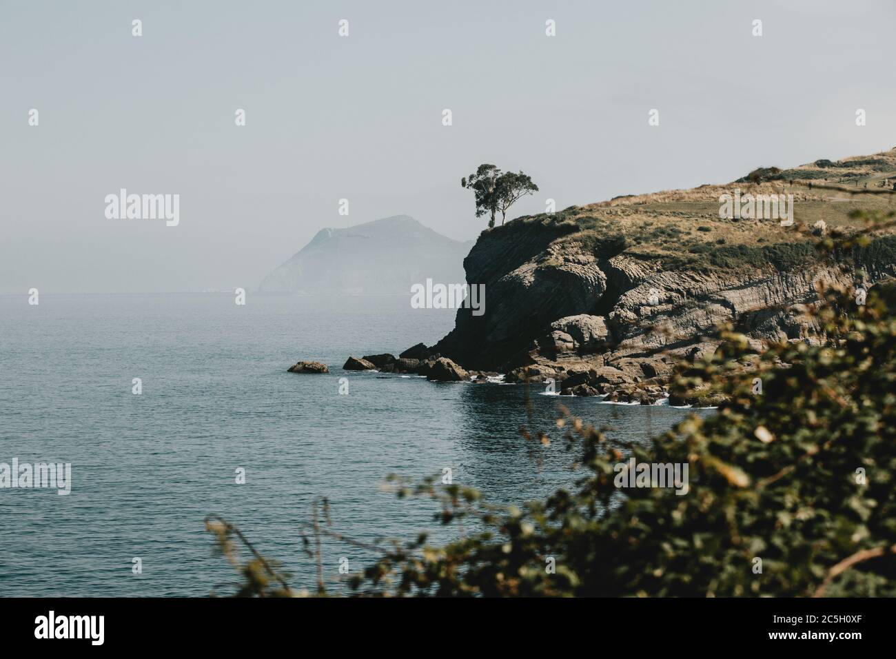 Couple d'arbres se tenant sur le bord de la falaise au-dessus du golfe de Gascogne pendant la matinée d'été avec ciel bleu et brume au-dessus de l'horizon Banque D'Images