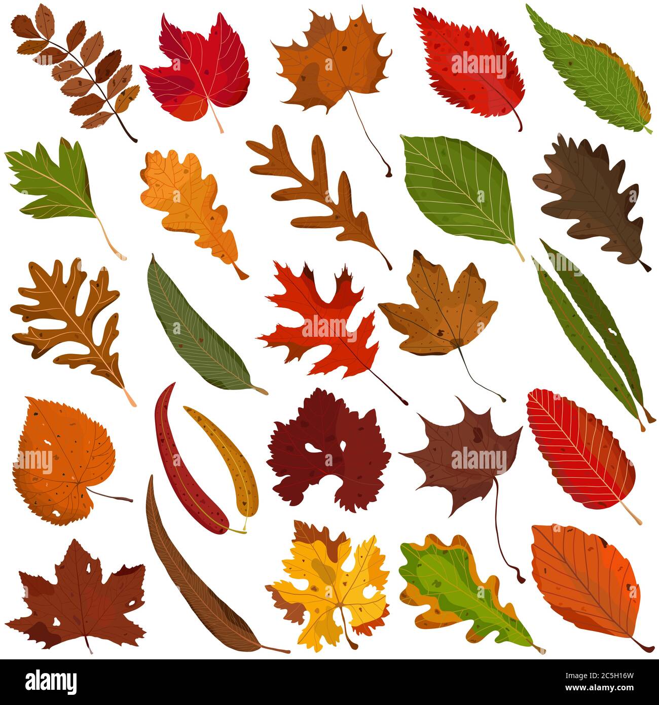 Feuille d'automne dessinée à la main, illustration colorée vecteur de feuilles orange rouge vert Doodle éléments sur blanc Illustration de Vecteur