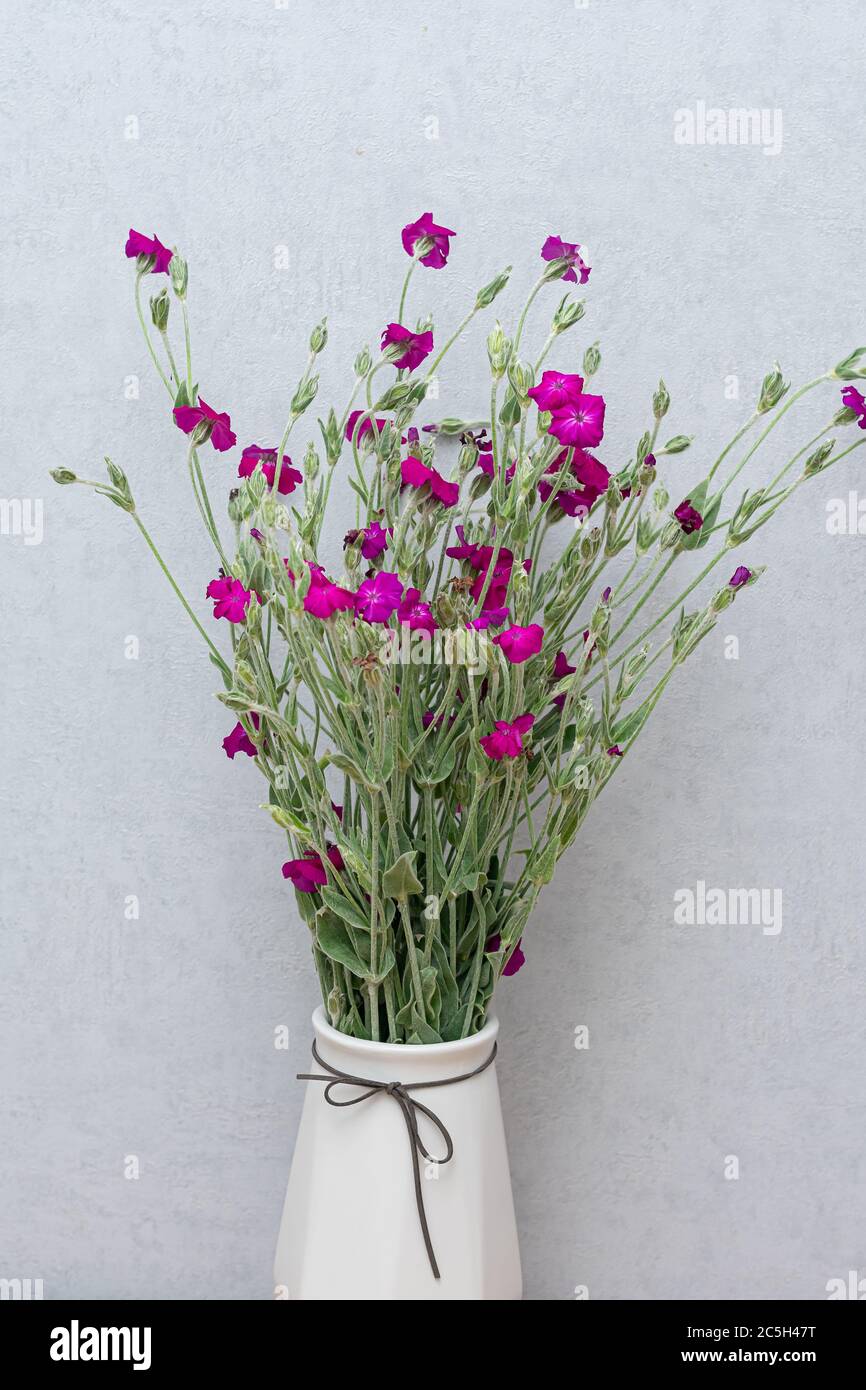 Fleurs sauvages dans vase à l'intérieur Banque D'Images