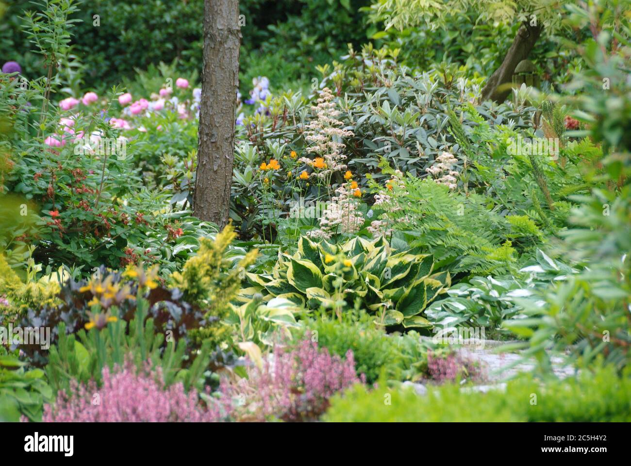 Botanischer garten christiansberg Banque de photographies et d’images à