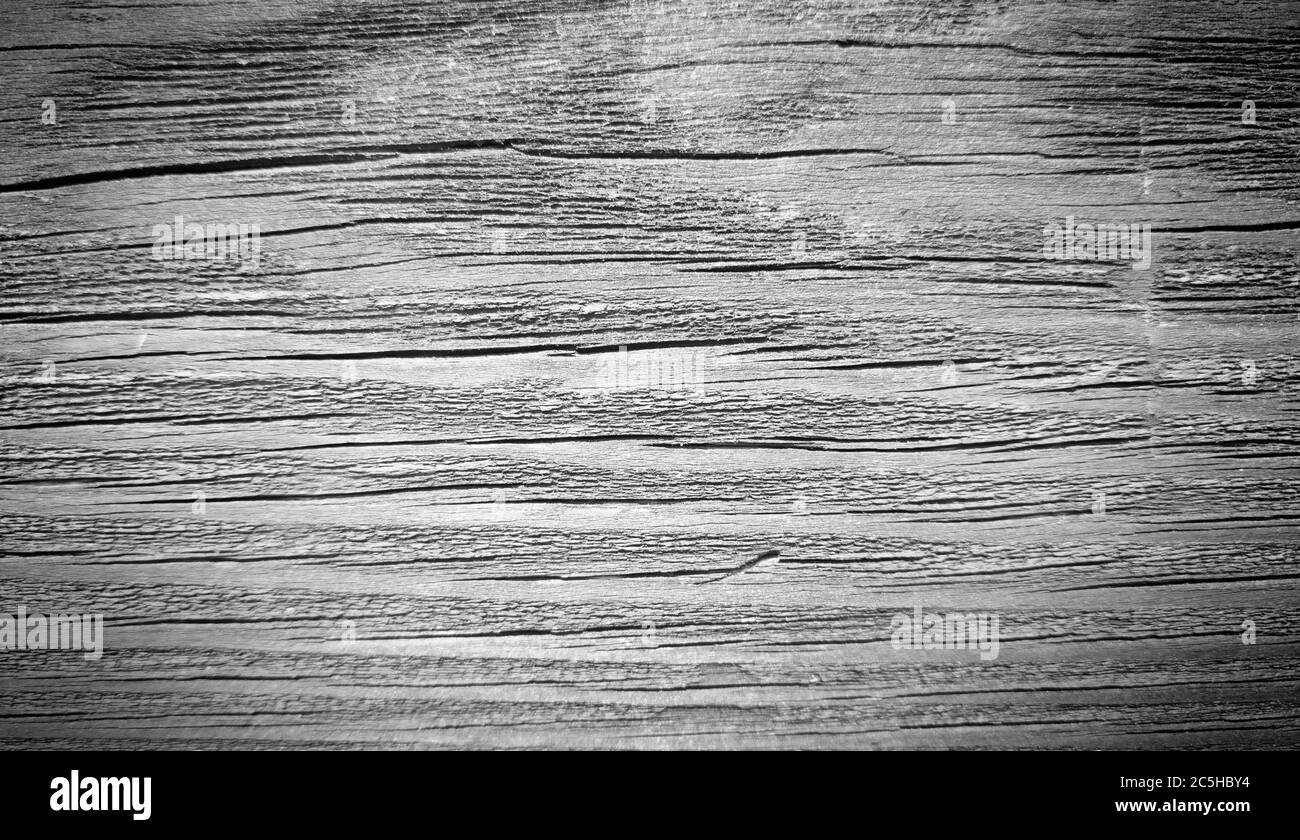 Vieux panneau en bois froissé. Texture de l'arbre avec espace de copie. Photo. Banque D'Images