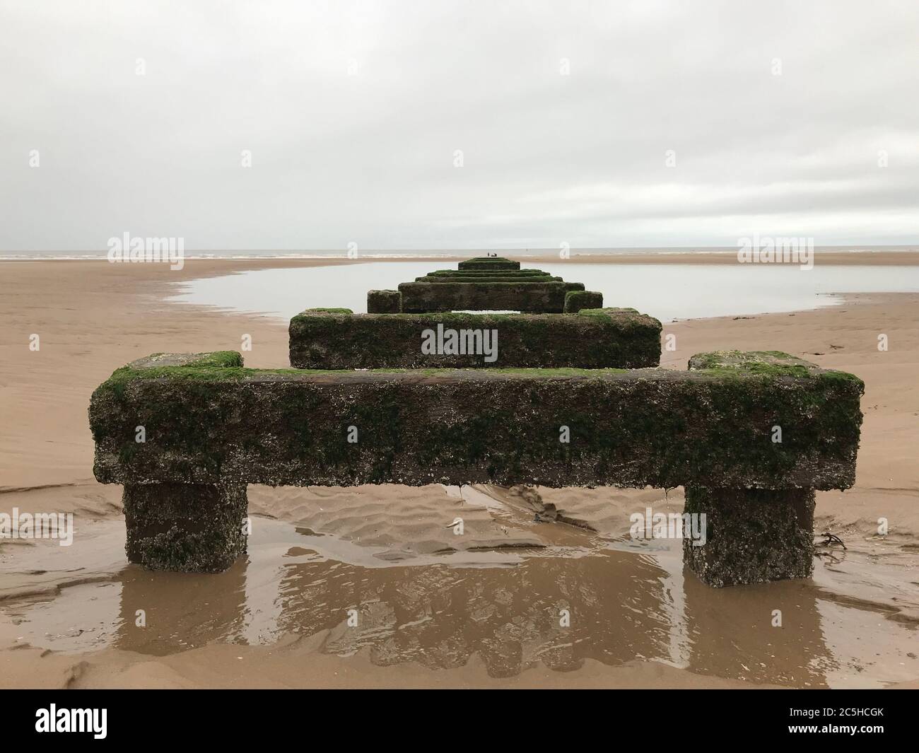 Ancienne jetée en bois au milieu de l'océan surcultivée avec de la mousse. Banque D'Images
