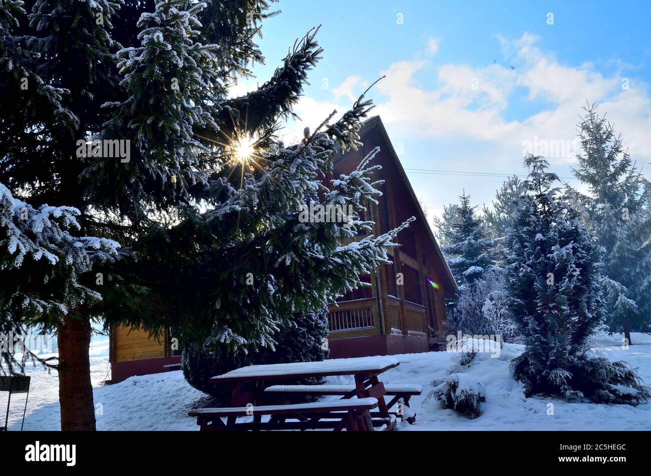 Chalet en bois d'hiver dans la forêt de pins couverte de neige pendant l'hiver en Transylvanie. Banque D'Images