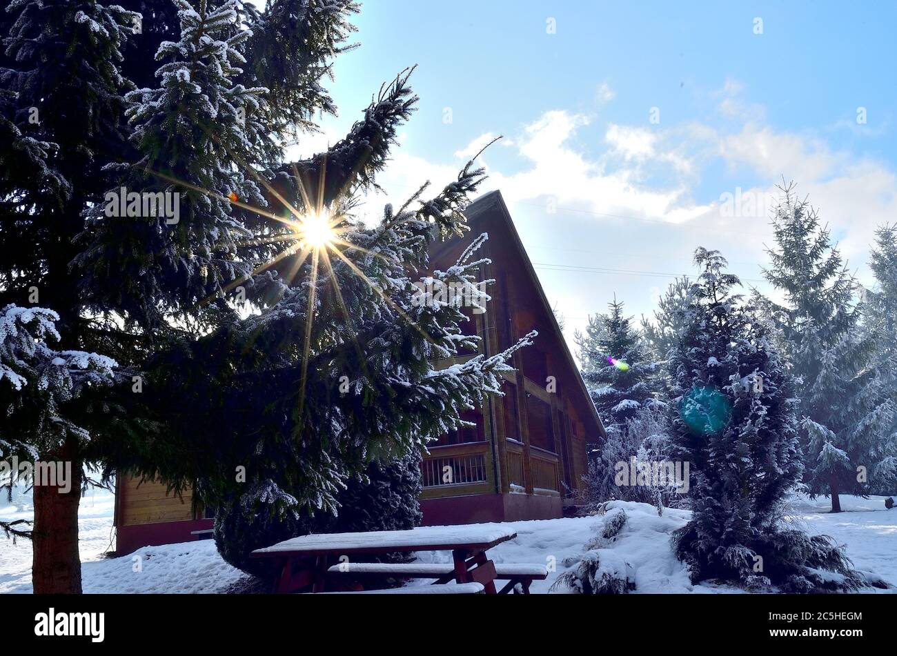 Cottage en bois dans la forêt de pins couverte de neige en Transylvanie. Banque D'Images