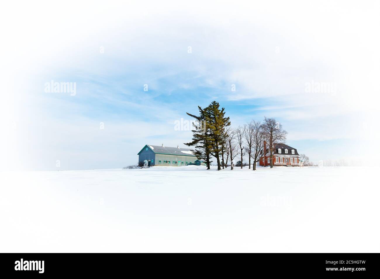 Ferme et bâtiments de ferme, scène hivernale minimaliste de neige avec vignette blanche. Région de la Beauce, Québec, Canada Banque D'Images