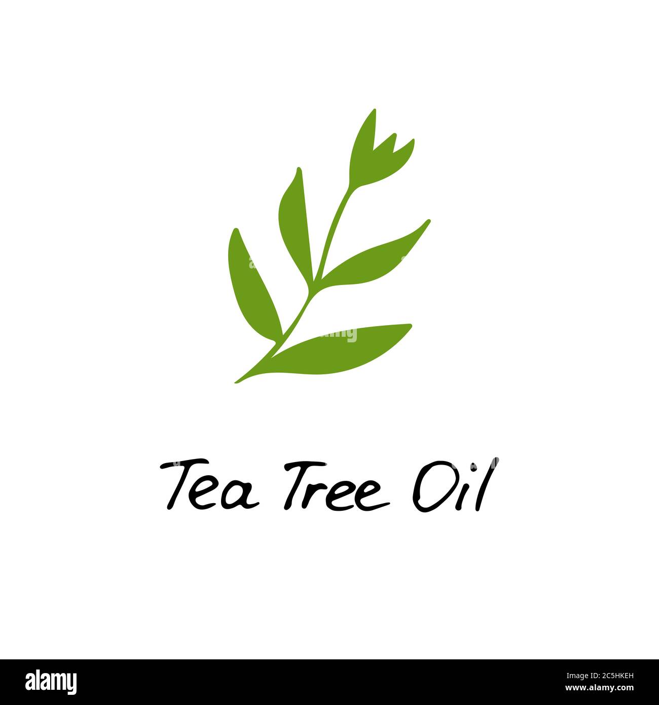 Usine de thé. Ingrédient cosmétique huile d'arbre à thé. Icône dessinée à la main pour l'impression et la toile. Graphique vectoriel. Illustration de Vecteur