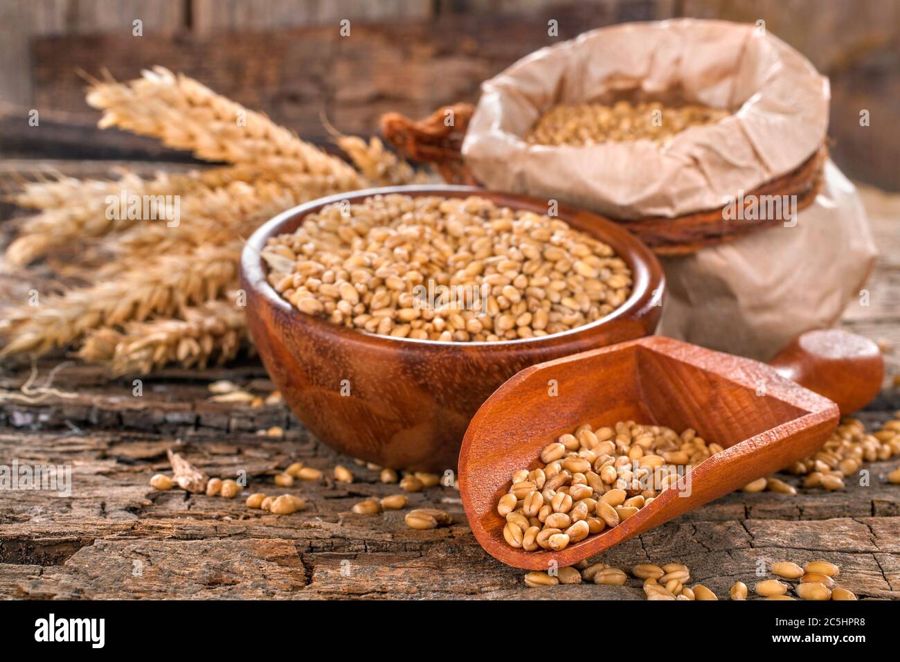 Semences de rang de blé dans un bol, une pelle et dans un sac en tissu. Plantez des céréales sur une table rustique en bois. Banque D'Images
