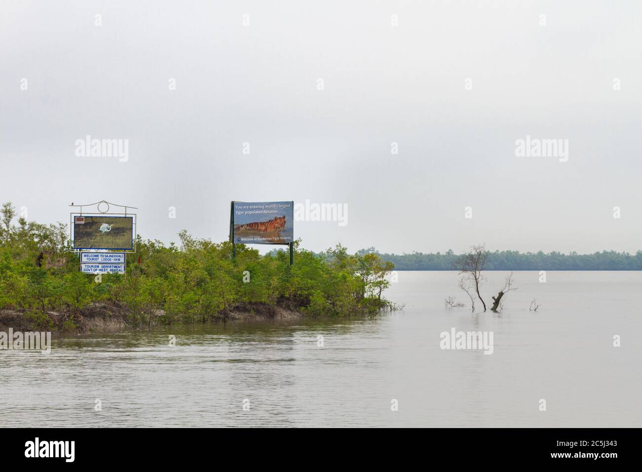 Paysage du parc national des Sunderbans, Bengale-Occidental, Inde. Banque D'Images