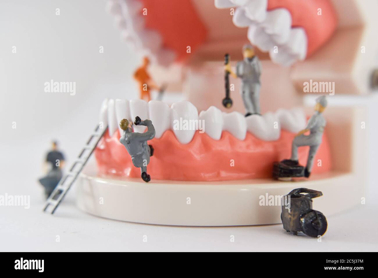 les personnes miniatures pour réparer une dent ou un petit ouvrier de figure nettoyant le modèle de dent comme médical et de soins de santé. Idée pour le nettoyage des soins dentaires ou du dentiste. Banque D'Images