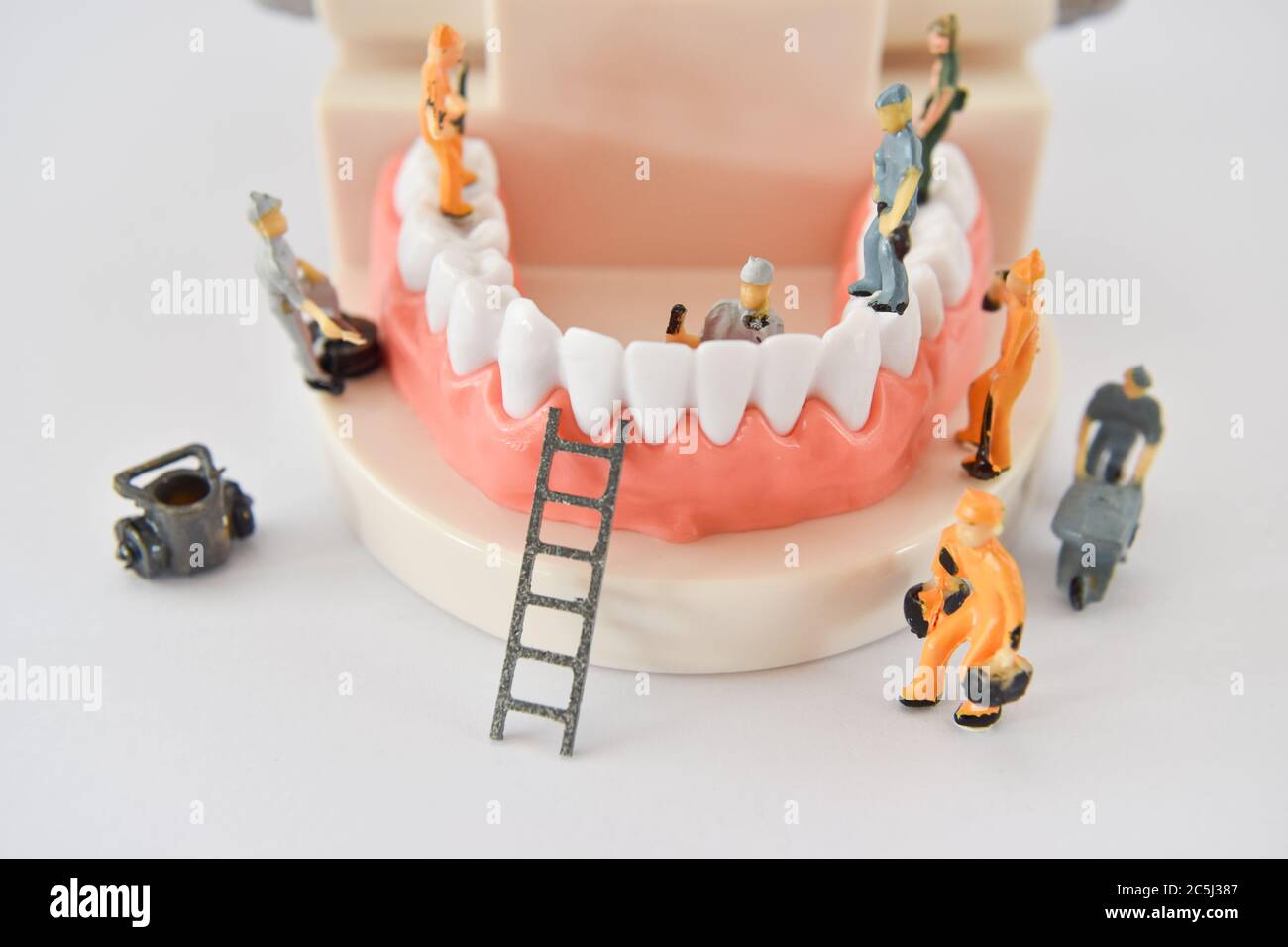 les personnes miniatures pour réparer une dent ou un petit ouvrier de figure nettoyant le modèle de dent comme médical et de soins de santé. nettoyage de soins dentaires ou concept de dentiste. Banque D'Images