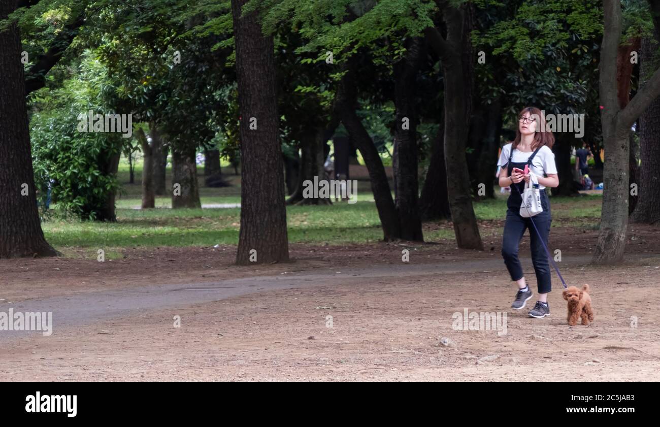 Femme marchant son chien au parc Yoyogi, Tokyo, Japon Banque D'Images