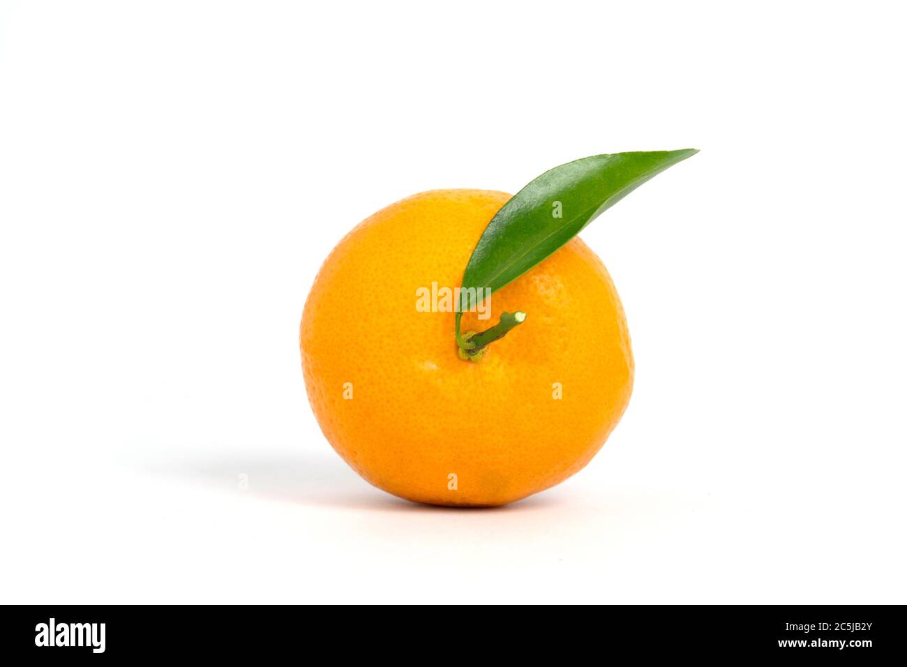 Fruits Crus Citrus Sinensis Appele Jeruk Baby Santang Avec Des Feuilles Isolees Sur Fond Blanc Fruits Frais Locaux De L Indonesie Photo Photo Stock Alamy