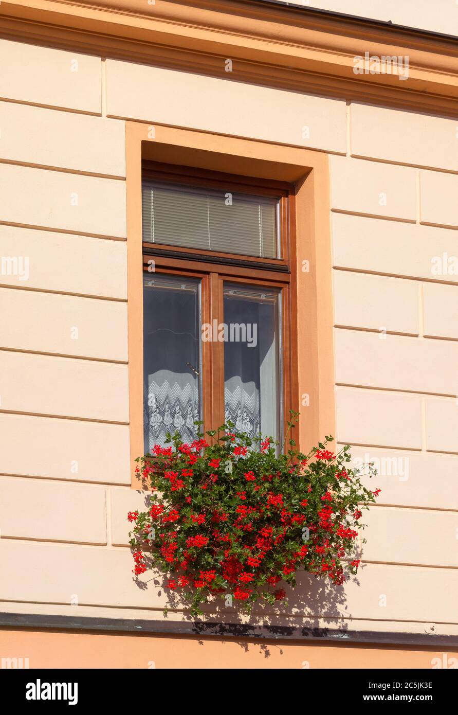 Fenêtre avec fleurs. Cesky Krumlov, république tchèque Banque D'Images