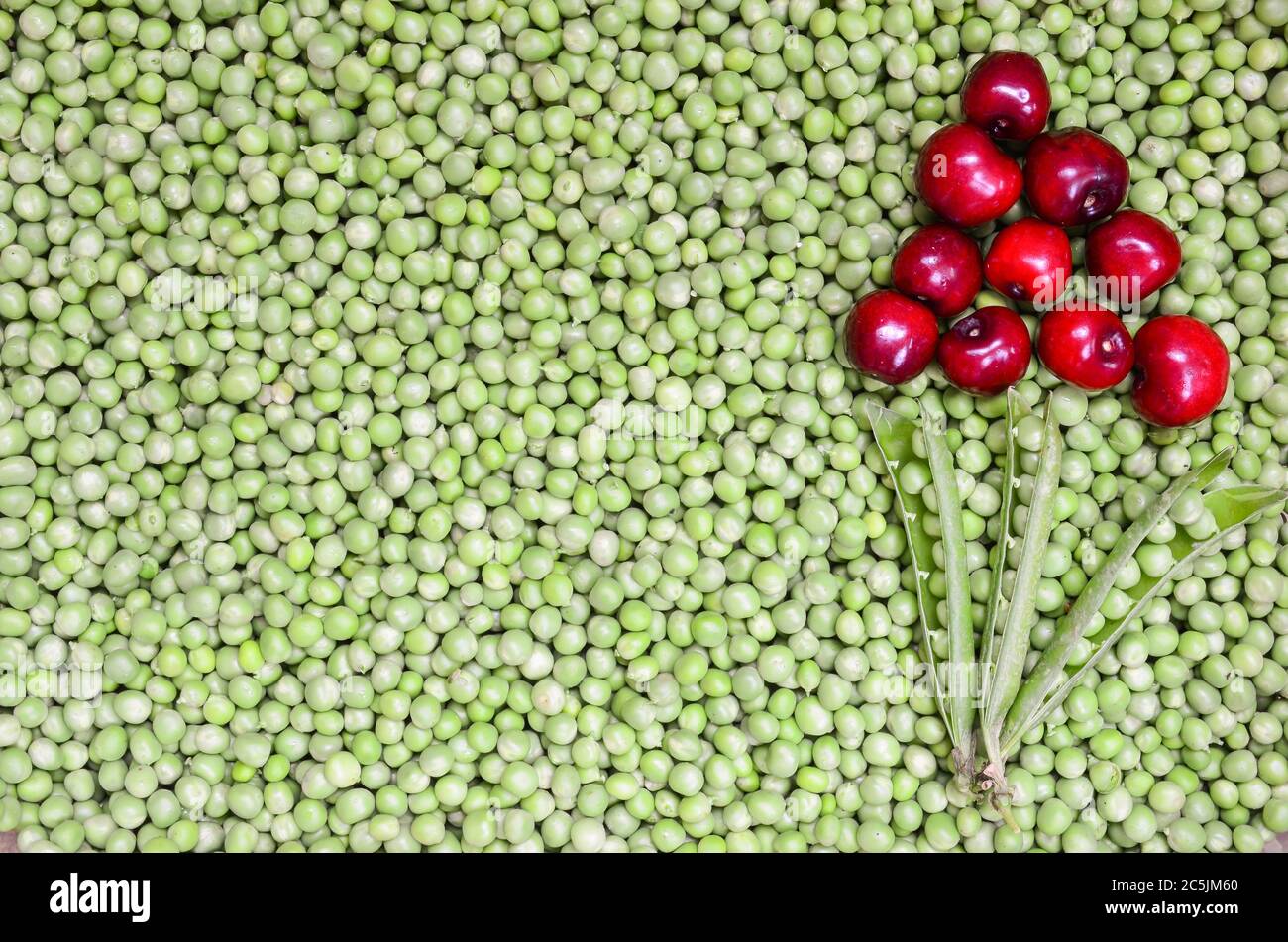 Arrière-plan de cerises et de pois, forme de fleur faite de cerises fraîches et mûres et de gousses de pois sur des pois décortiqués Banque D'Images