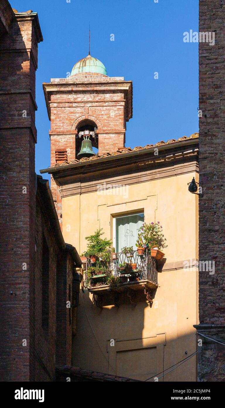 Vieilles ruelles historiques d'une ville toscane médiévale pleine de fleurs colorées et de soleil. Banque D'Images