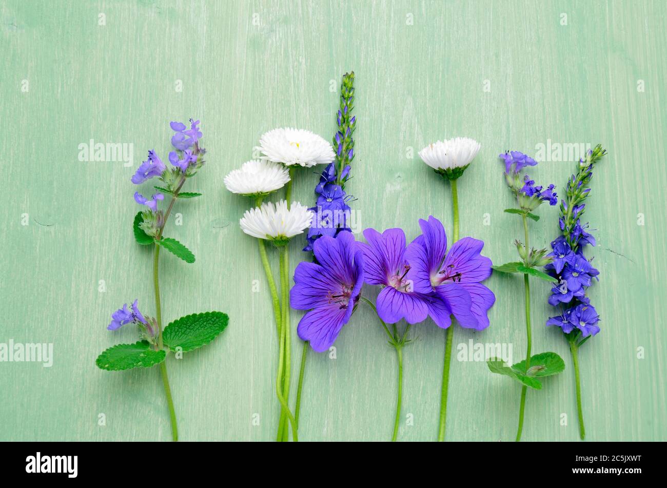 Jardin fleuri sur une table en bois. Banque D'Images