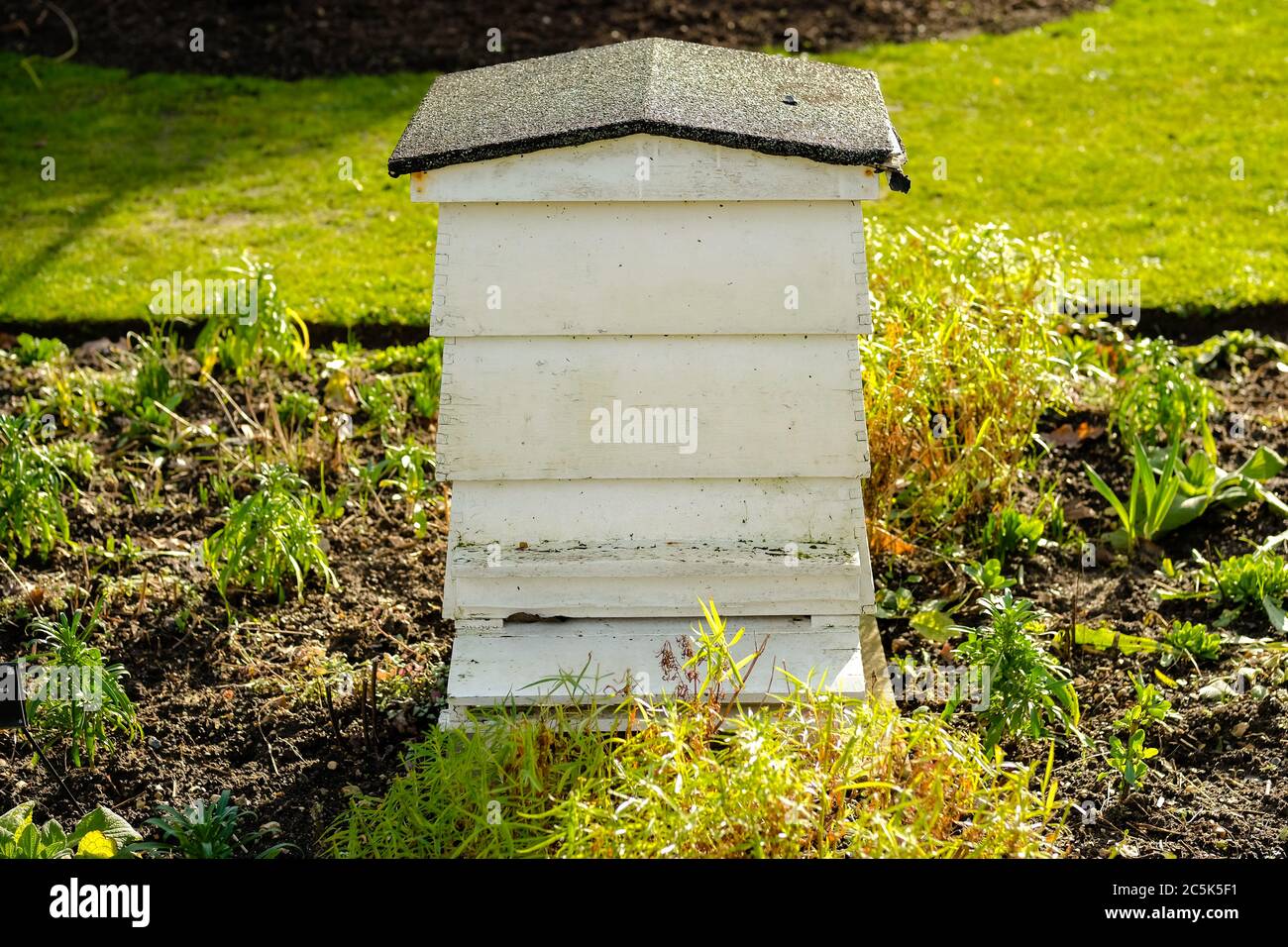 Grande ruche en bois vue située dans un grand jardin. La pelouse et les arbustes bien entretenus sont clairement visibles. Banque D'Images