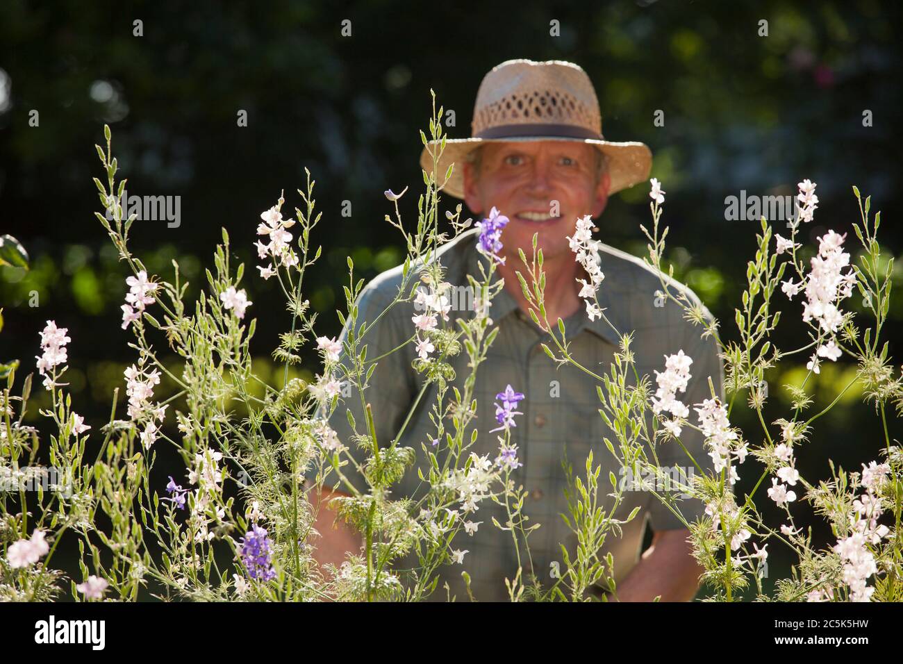 Homme mûr souriant regardant la caméra à travers des fleurs dans un jardin - se concentrer sur les fleurs Banque D'Images