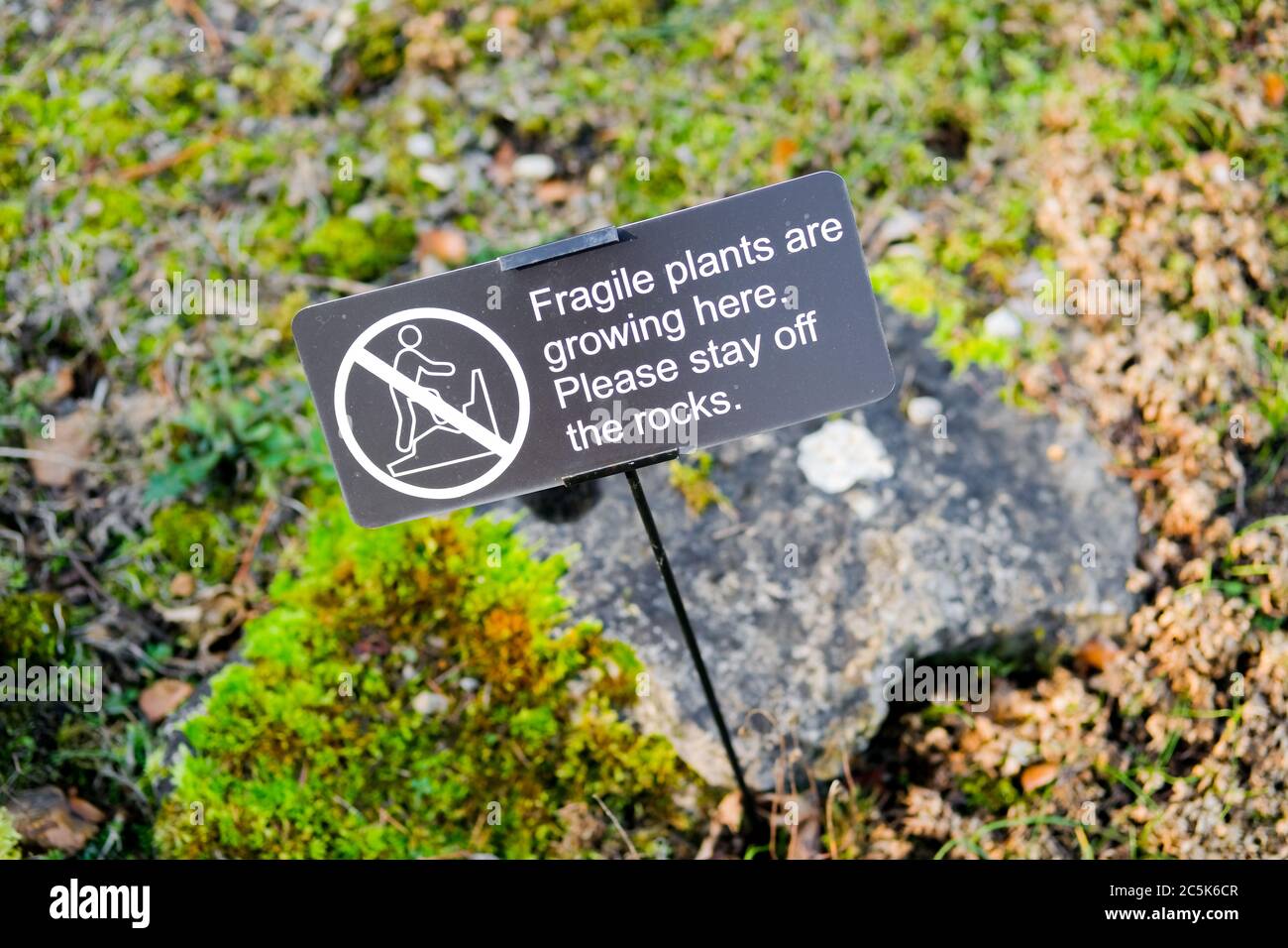 Foyer peu profond d'une barrière en chaîne métallique vue à une grande rockery de jardin. Abritant de nombreuses plantes alpines, la chaîne est d'empêcher les visiteurs d'escalader les rochers Banque D'Images