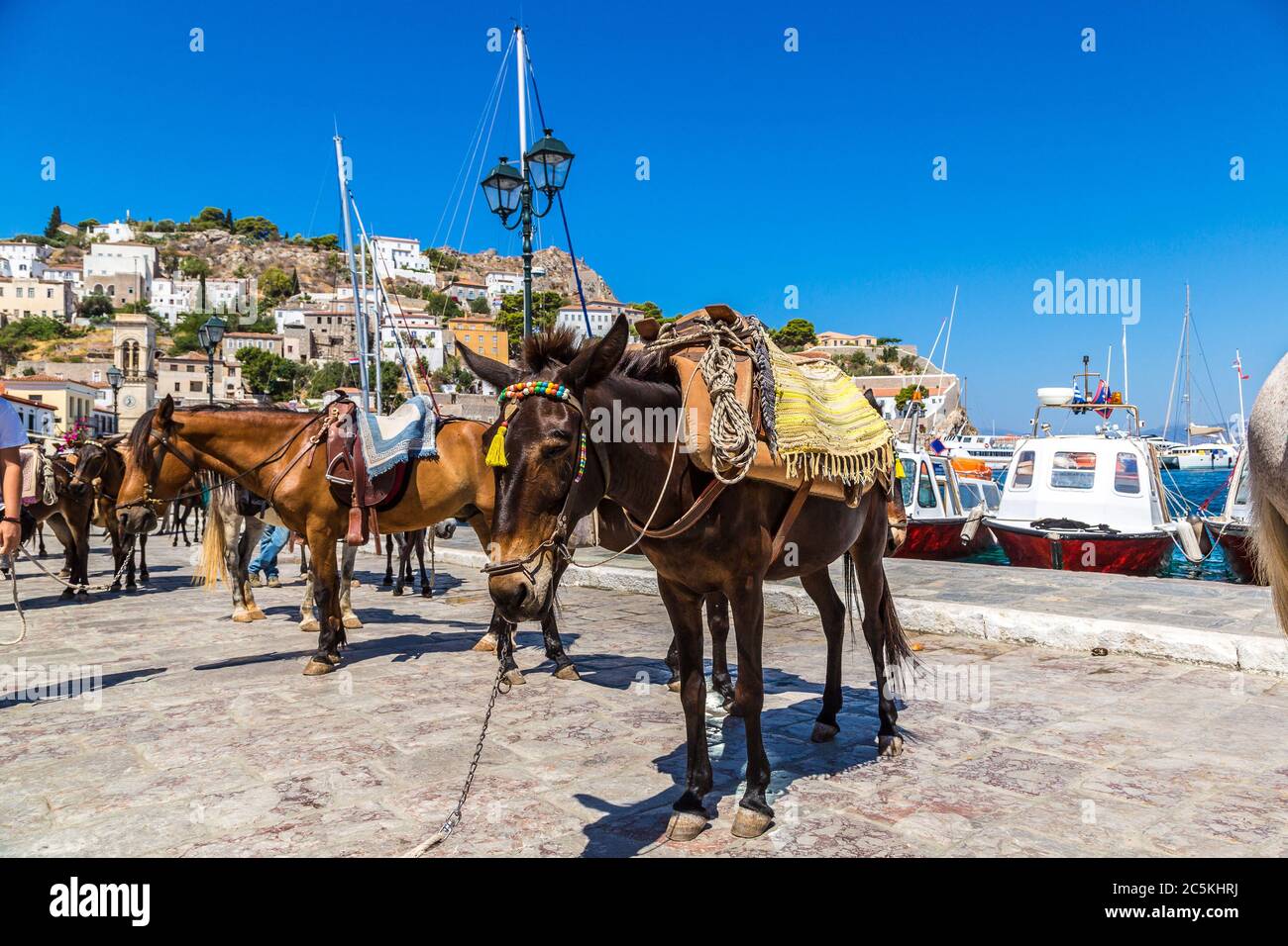 Ânes à l'île d'Hydra en un jour d'été en Grèce Banque D'Images