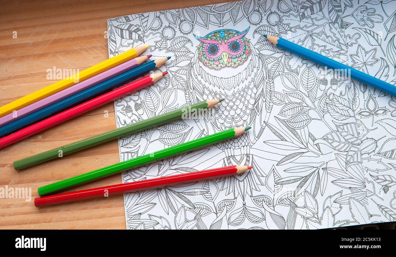 Livre de coloriage adultes Banque de photographies et d’images à haute