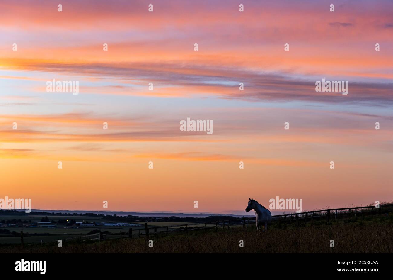 East Lothian, Écosse, Royaume-Uni, 3 juillet 2020. Météo britannique : ciel orange et rose coloré au coucher du soleil avec un cheval dans un champ silhoueté contre l'horizon Banque D'Images