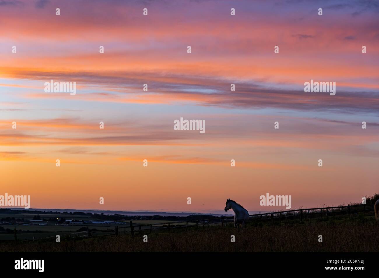 East Lothian, Écosse, Royaume-Uni, 3 juillet 2020. Météo britannique : ciel orange et rose coloré au coucher du soleil avec un cheval dans un champ silhoueté contre l'horizon Banque D'Images