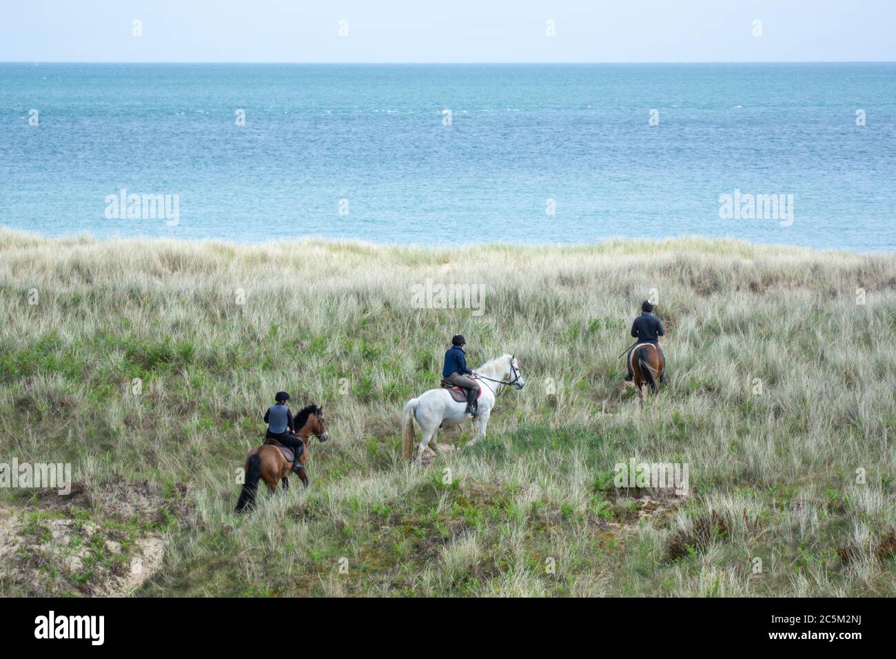 Trois cavaliers sur les dunes herbeuses de la côte de Wexford en Irlande Banque D'Images