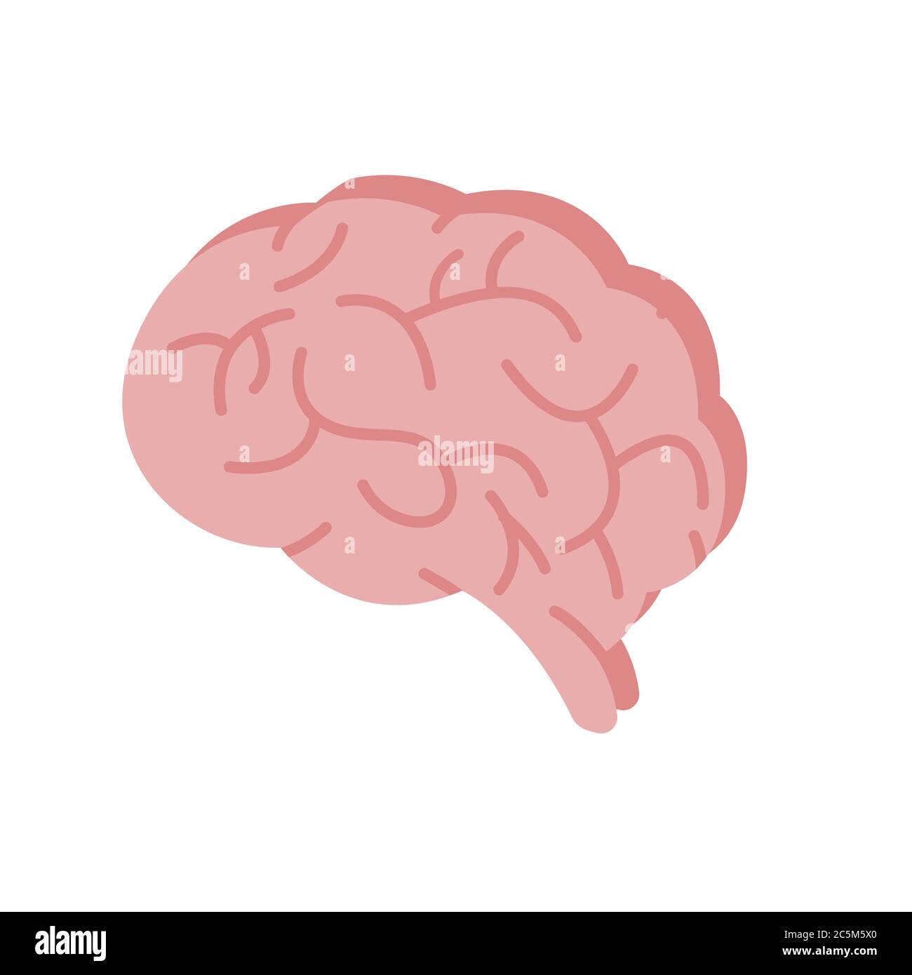 Cerveau humain sur fond blanc. Illustration vectorielle de style plat tendance. SPE 10 Illustration de Vecteur