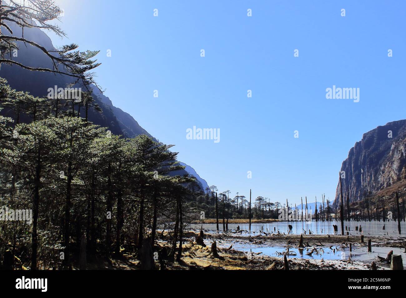 beauté sauvage et pittoresque du lac madhuri / lac sangetsar tso / lac sangestar tso, entouré par la forêt de conifères, tawang, arunachal pradesh, en inde Banque D'Images