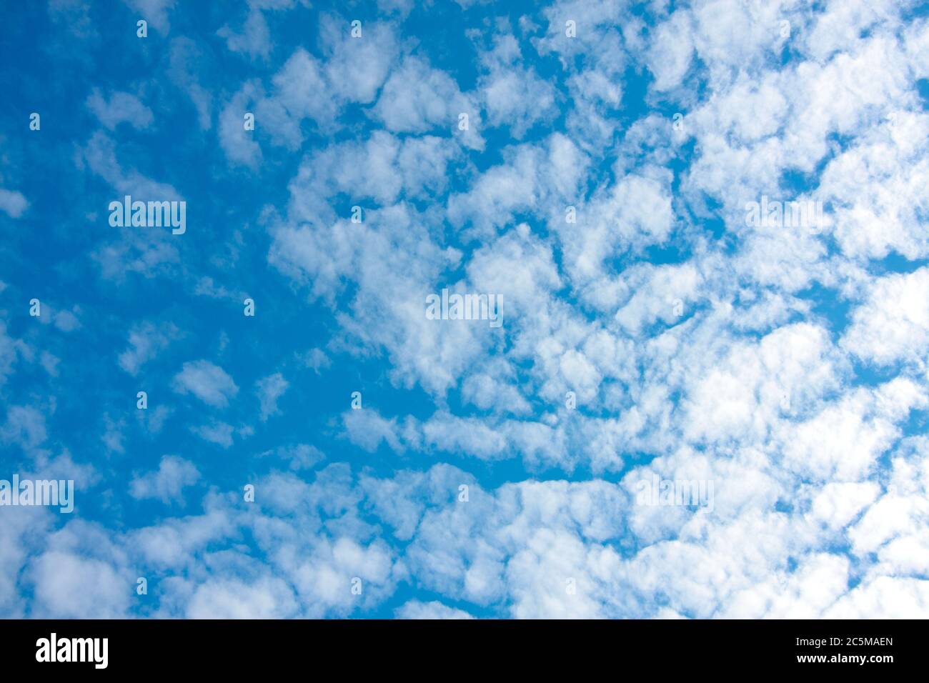 ciel bleu et petits nuages sur la texture d'arrière-plan de la nature Banque D'Images