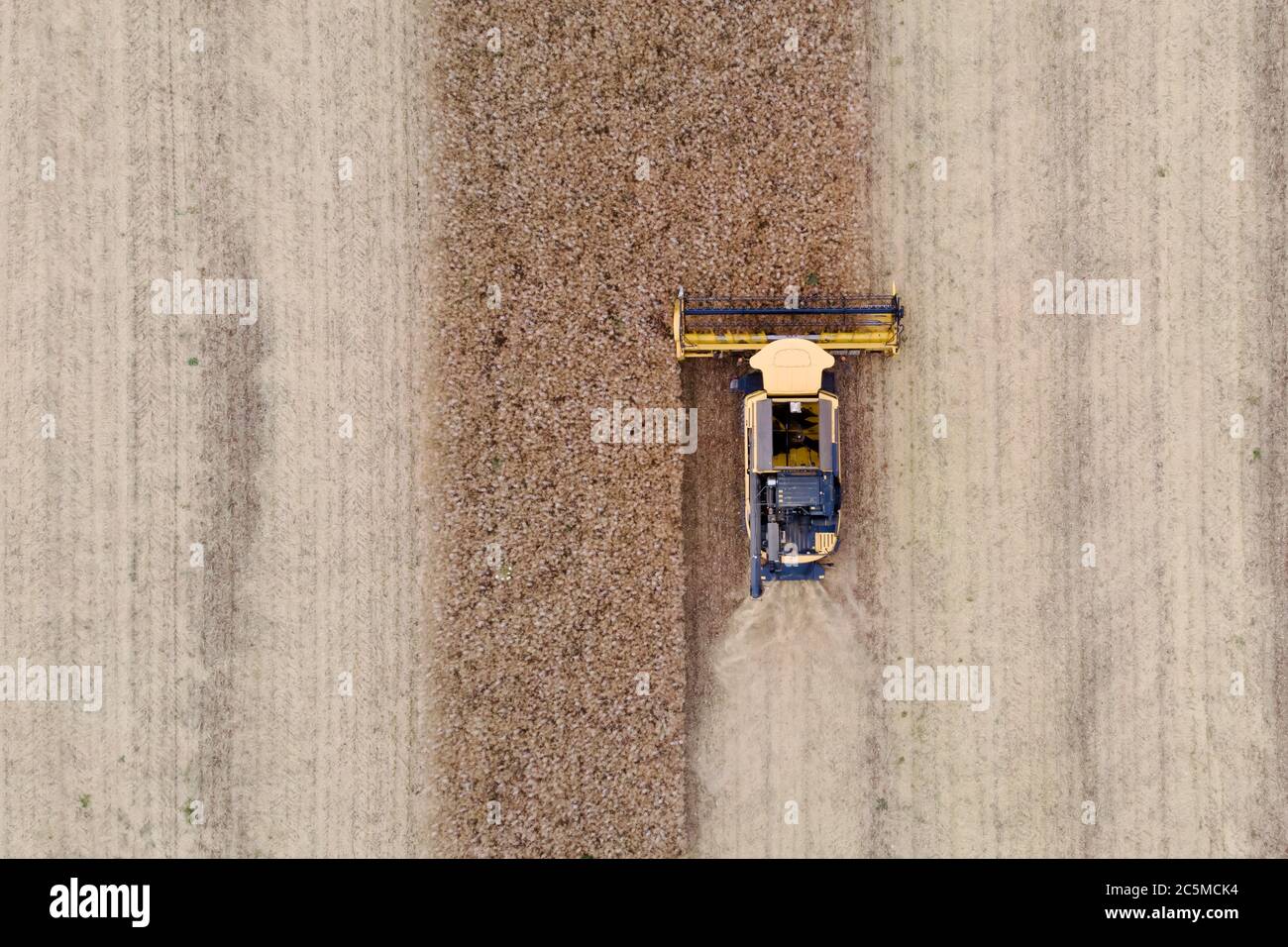 vue aérienne d'une moissonneuse-batteuse moderne dans un champ de colza Banque D'Images