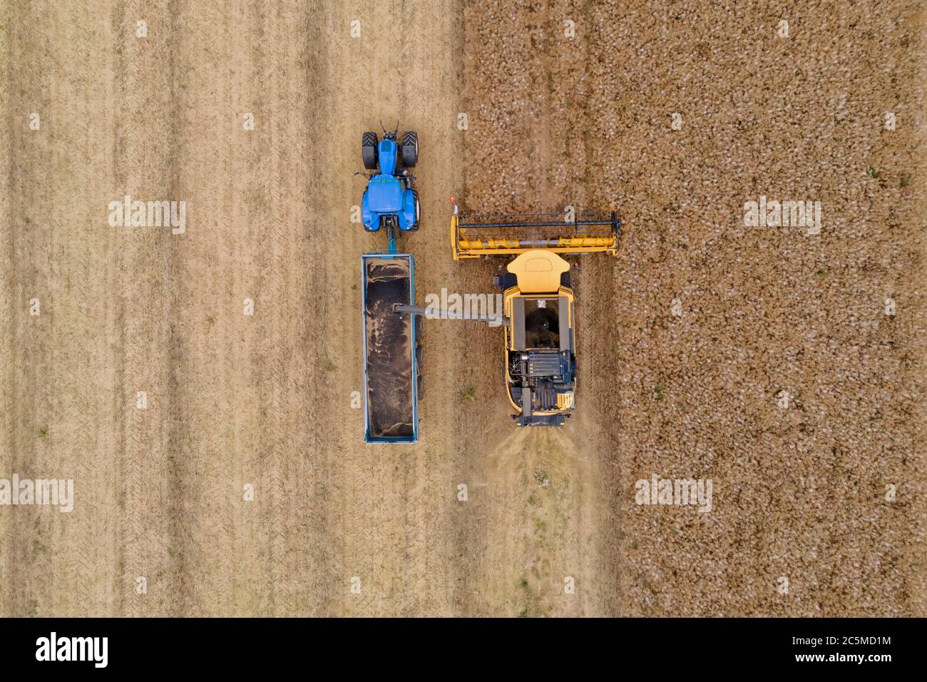 vue aérienne d'une moissonneuse-batteuse moderne qui verse du colza dans un déchargement de tracteur Banque D'Images
