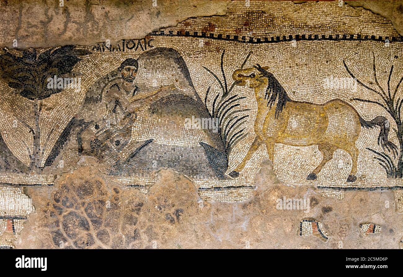 Une mosaïque bien conservée montrant un homme et un cheval sur le site de Haleplibache à Sanliurfa (Urfa) dans le sud-est de la Turquie. Banque D'Images