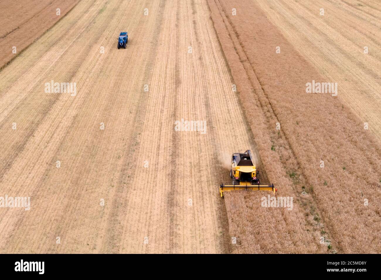 vue aérienne d'une moissonneuse-batteuse moderne pour la récolte de colza Banque D'Images
