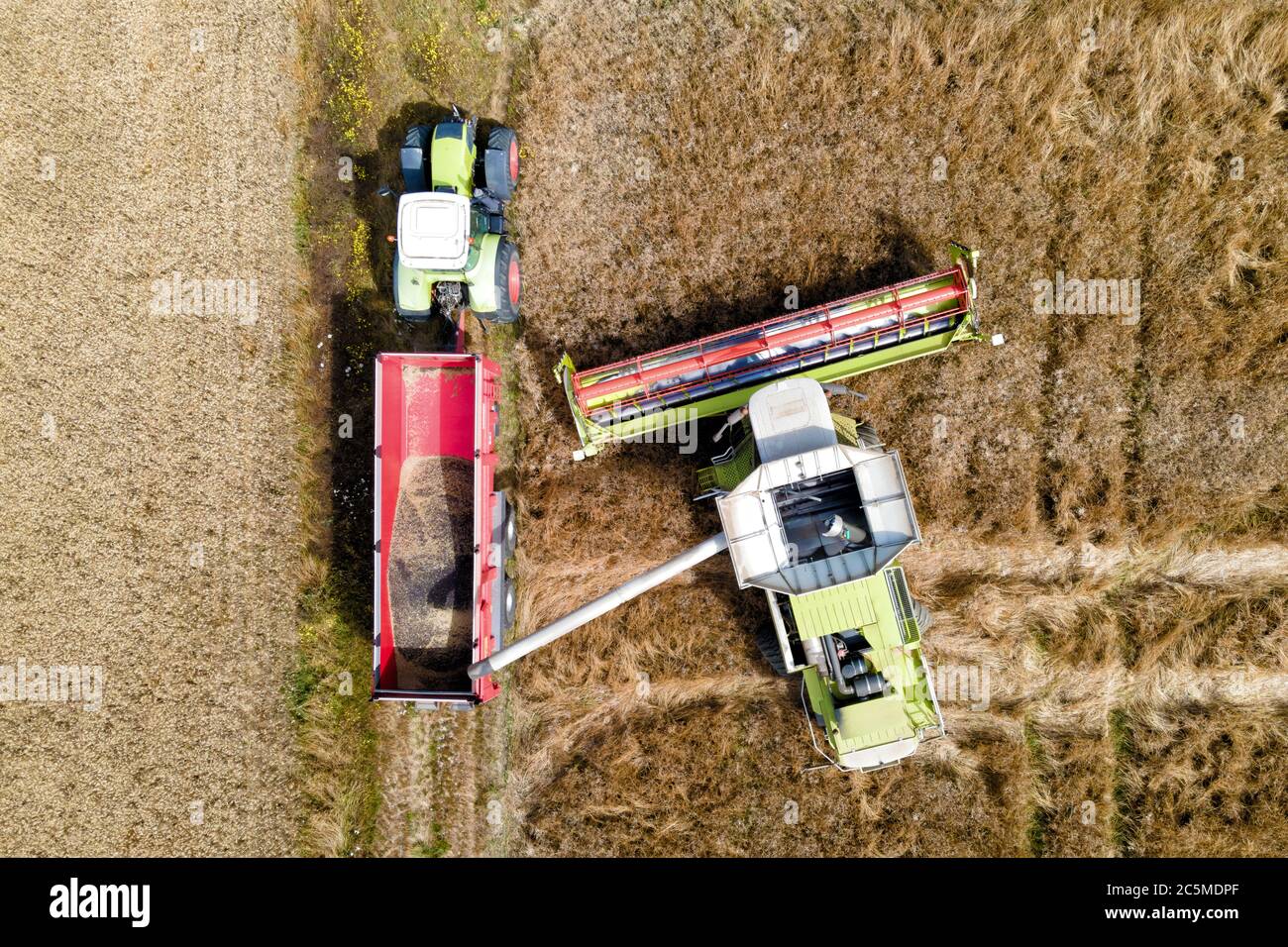 vue aérienne par drone d'une moissonneuse-batteuse moderne qui fait pourrrer une récolte dans un dévidage de tracteur. Banque D'Images