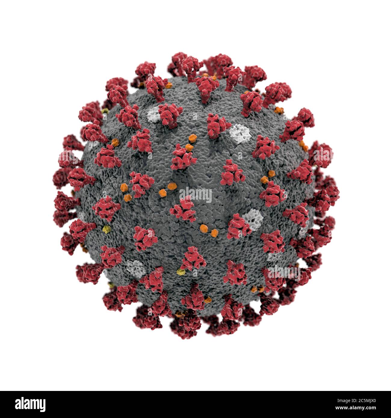 Visualisation 3D microscopique du virus Covid-19 Corona Banque D'Images