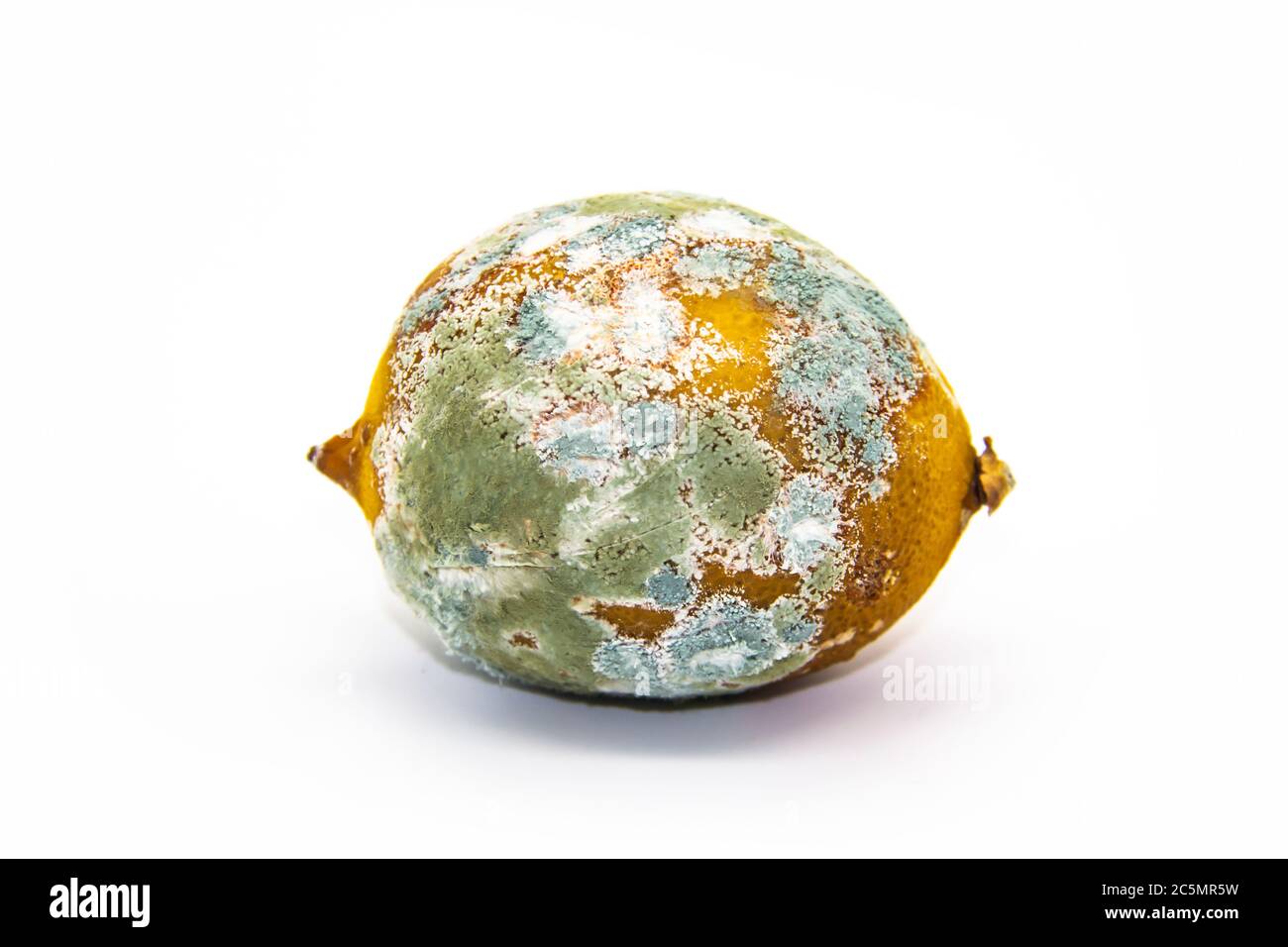 Citron gâté sur fond blanc. Le citron est moldy et a commencé à pourrir. Le concept de conception avec un citron pêché. Banque D'Images