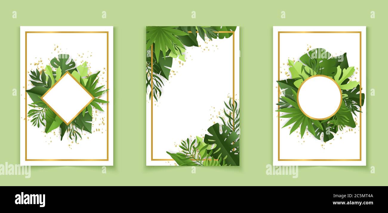 Banderoles botaniques avec feuilles tropicales. Illustration vectorielle Illustration de Vecteur