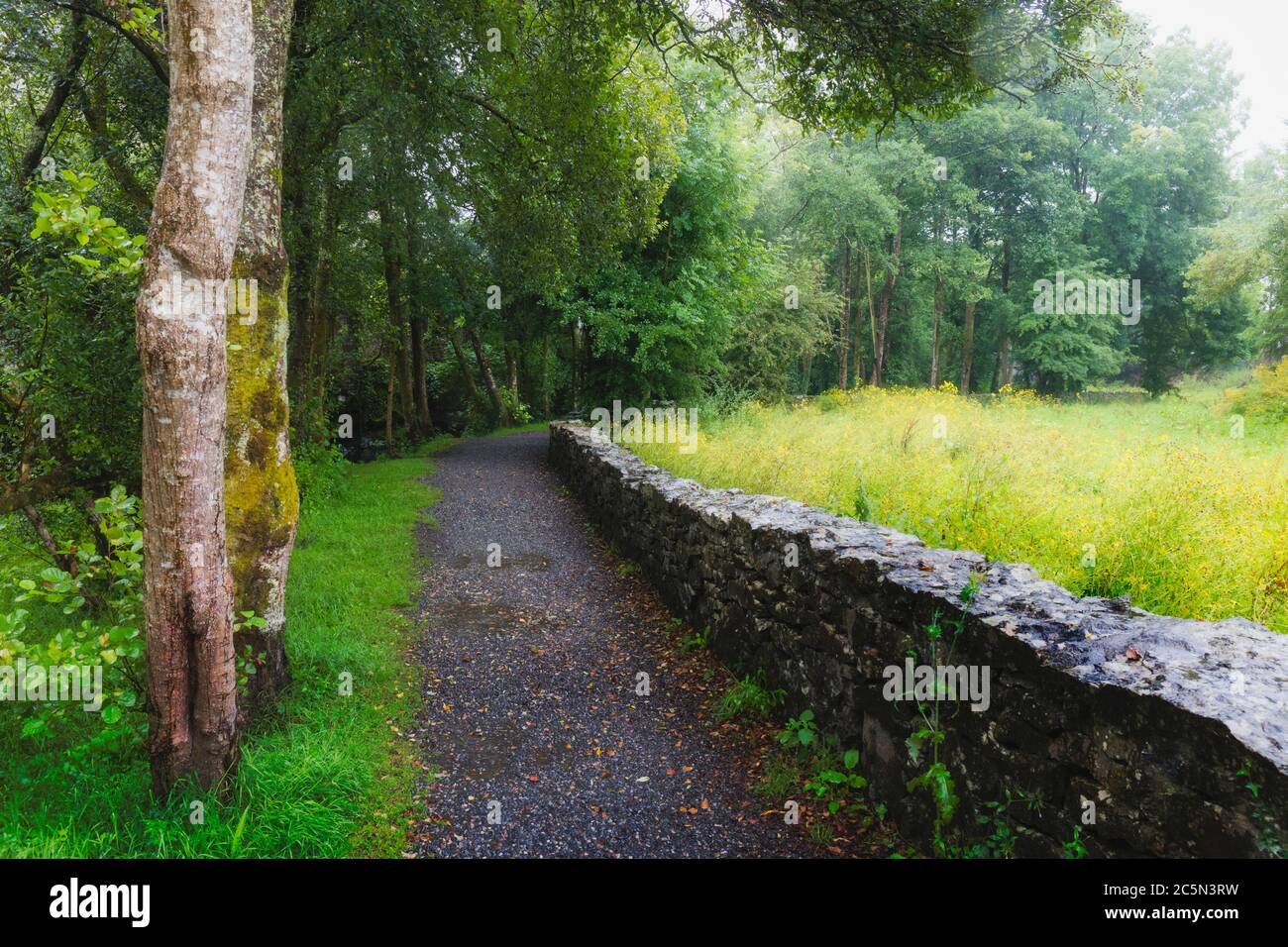 Sentier menant au château d'Aughnanure, près d'Oughterard, Connemara, comté de Galway, République d'Irlande. Eire. Banque D'Images