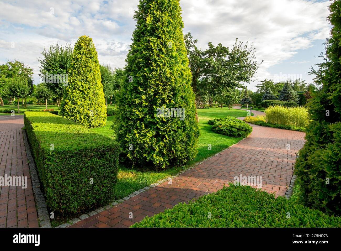 un parc avec haie de buis et thuja à feuilles persistantes avec des trottoirs tortueux pour des promenades parmi les plantes avec des nuages dans le ciel le jour ensoleillé d'été. Banque D'Images