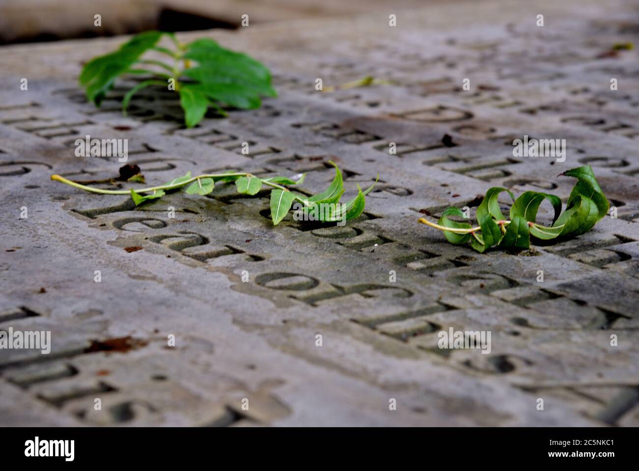tombe Banque D'Images