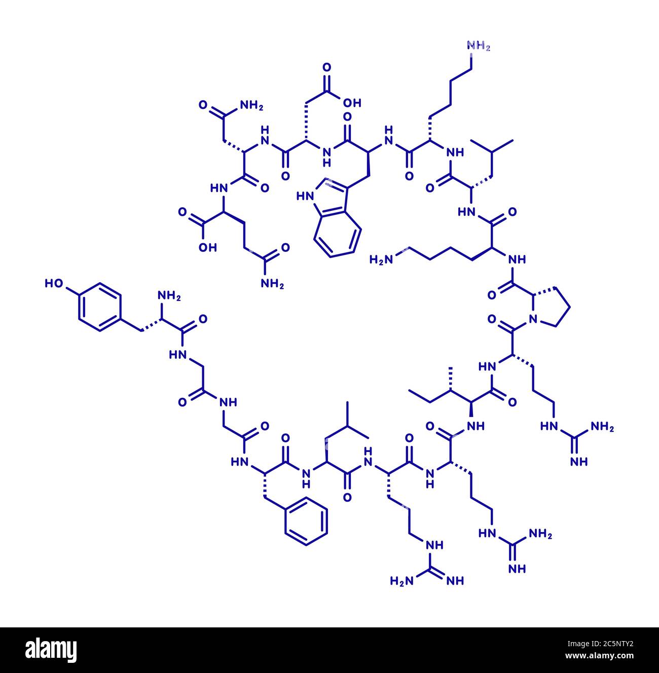 La dynorphine un peptide opioïde endogène molécule. Formule topologique. Banque D'Images