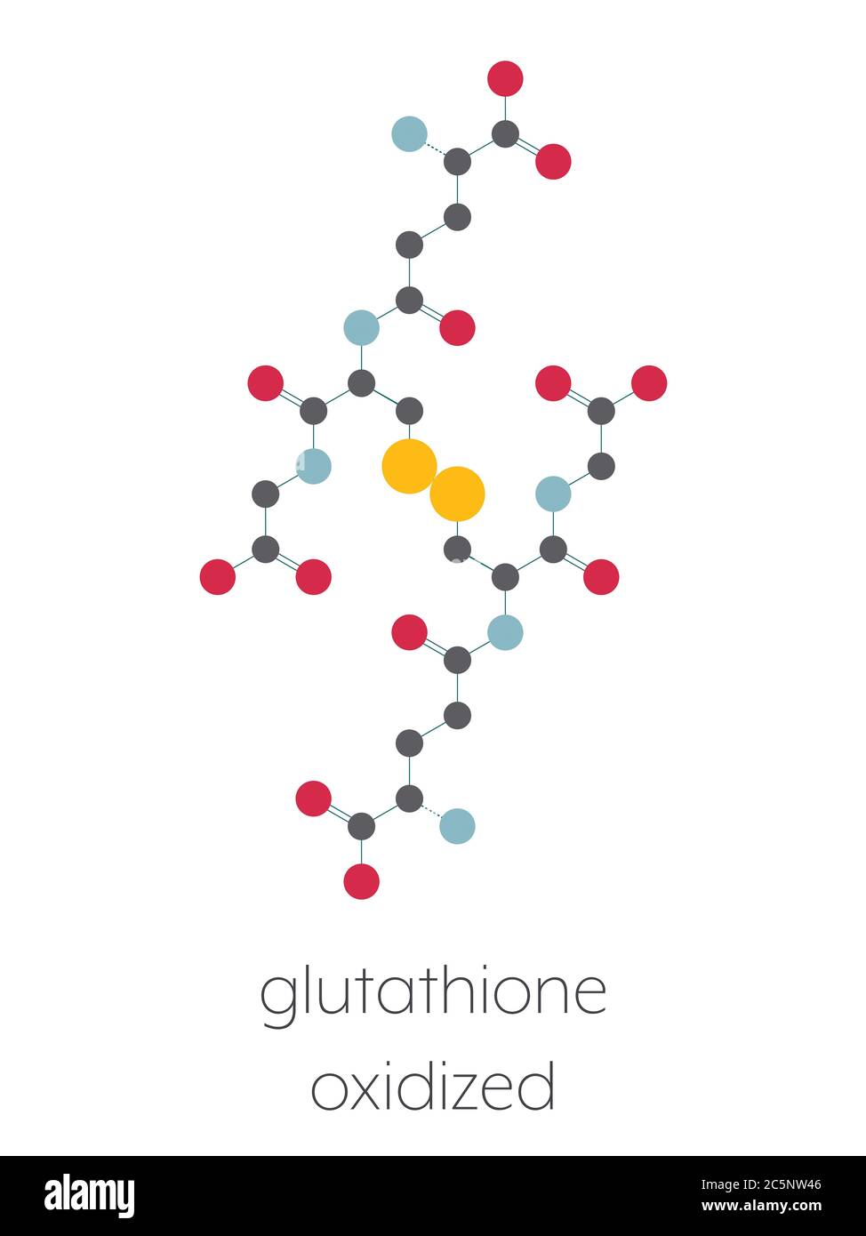 Molécule de glutathion (glutathion oxydé, GSSG). Formule squelettique stylisée (structure chimique) : les atomes sont représentés par des cercles de couleur : hydrogène (caché), carbone (gris). Banque D'Images