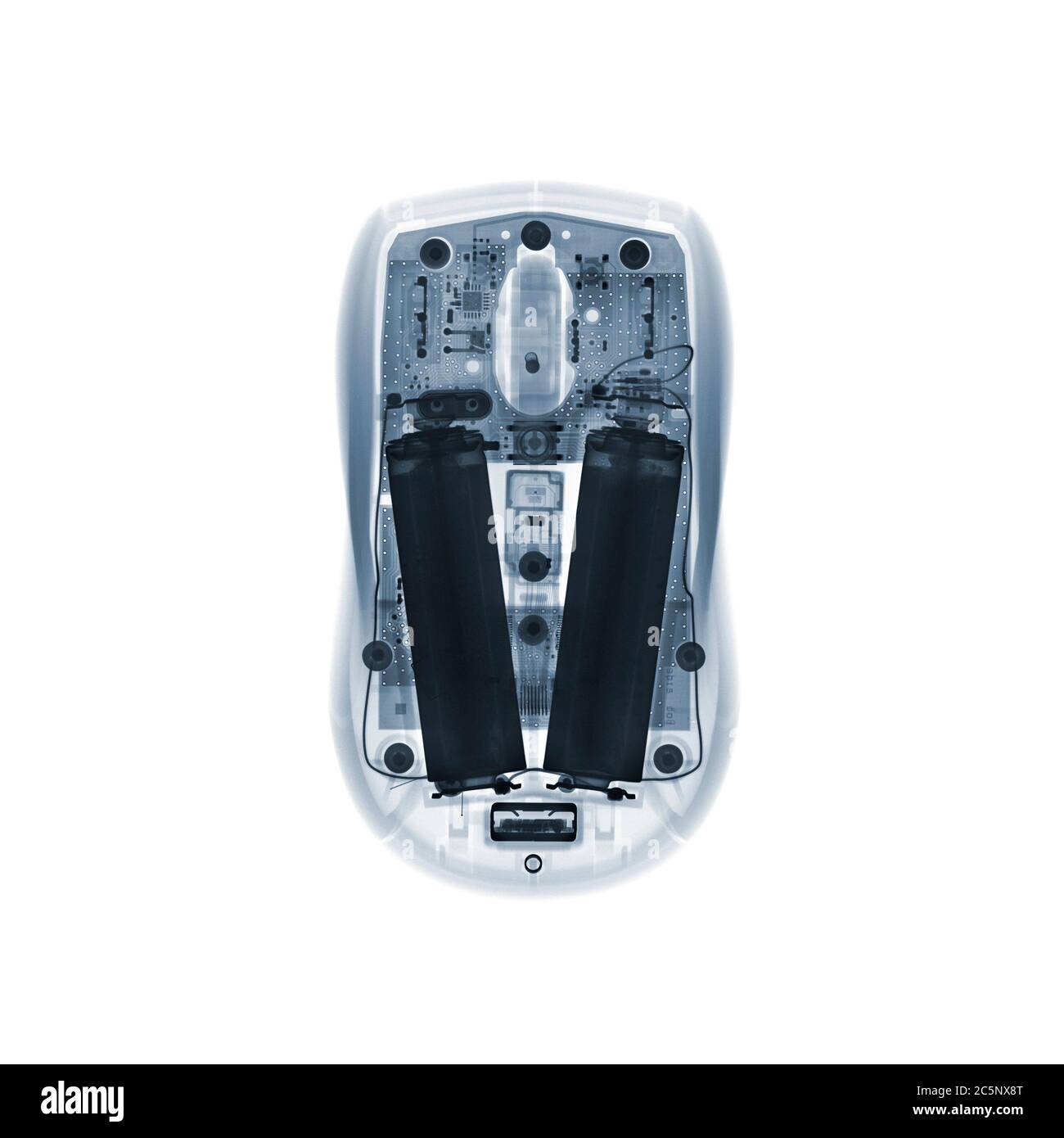 Souris d'ordinateur, rayons X de couleur. Banque D'Images