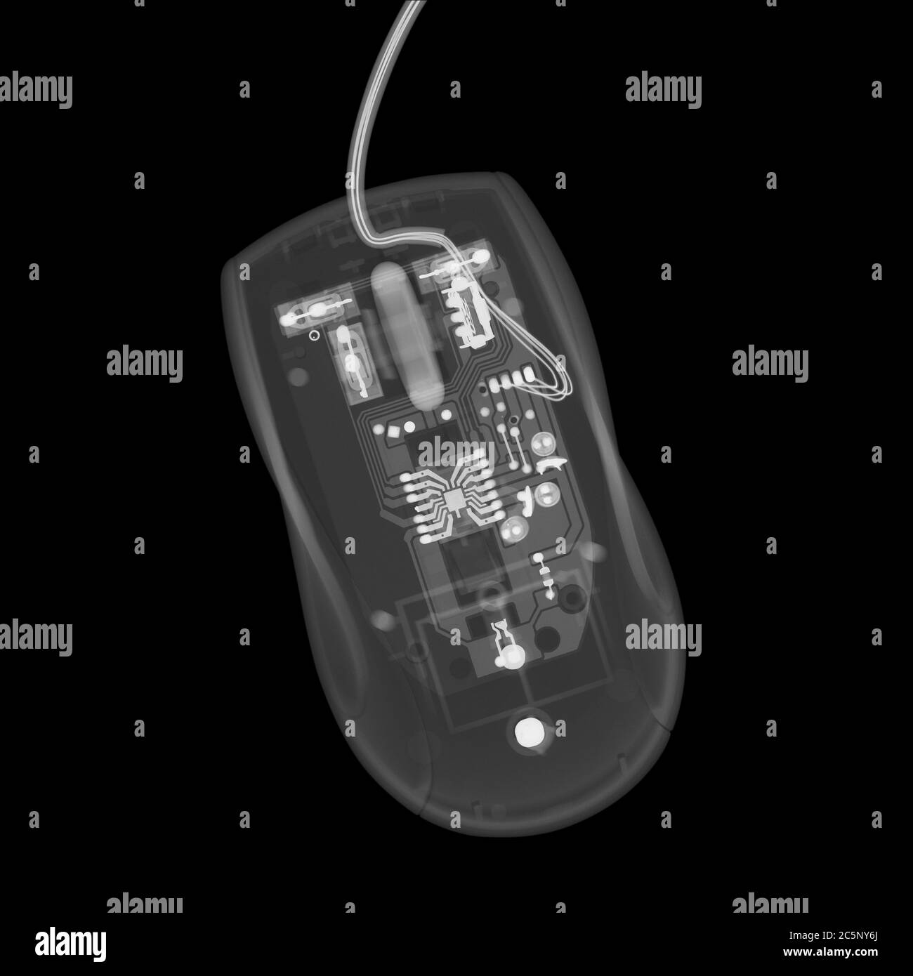 Souris d'ordinateur, rayons X. Banque D'Images