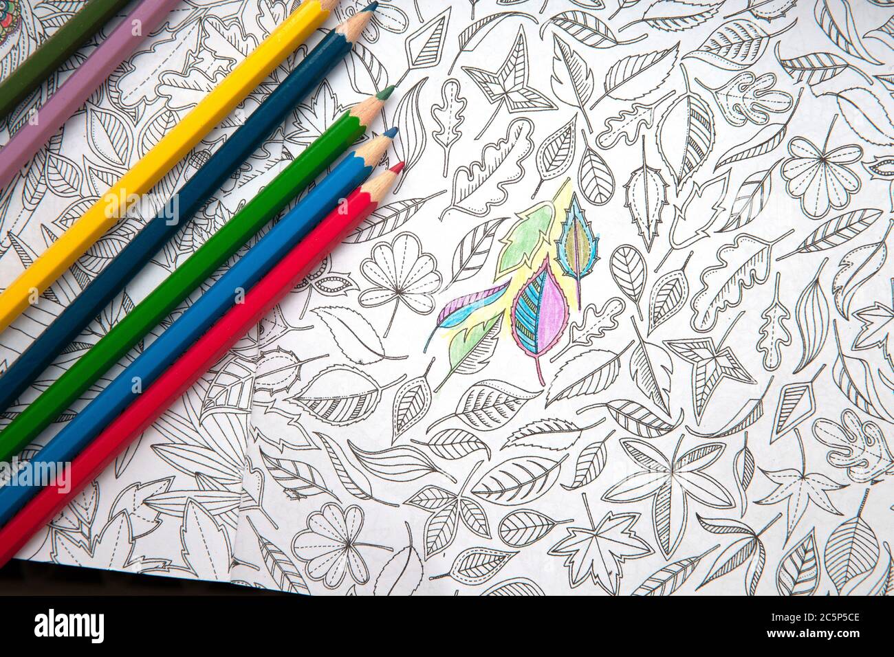 Livre de coloriage adultes Banque de photographies et d’images à haute