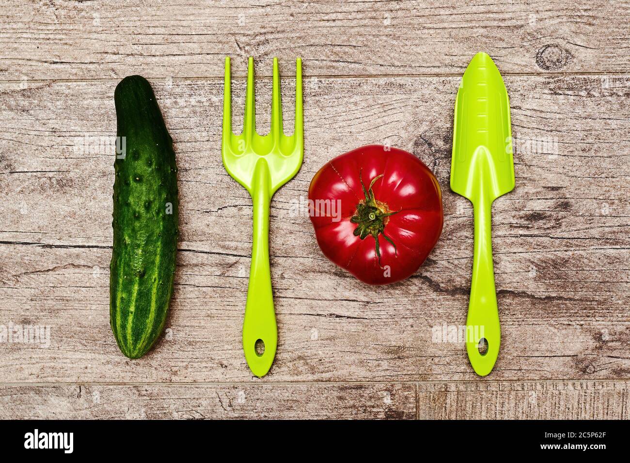 Tomates fraîches et concombres avec outils de jardinage sur la surface plane en bois. Tomate, concombre, pelle, râteler ensemble. Équipement de jardinage d'été Banque D'Images