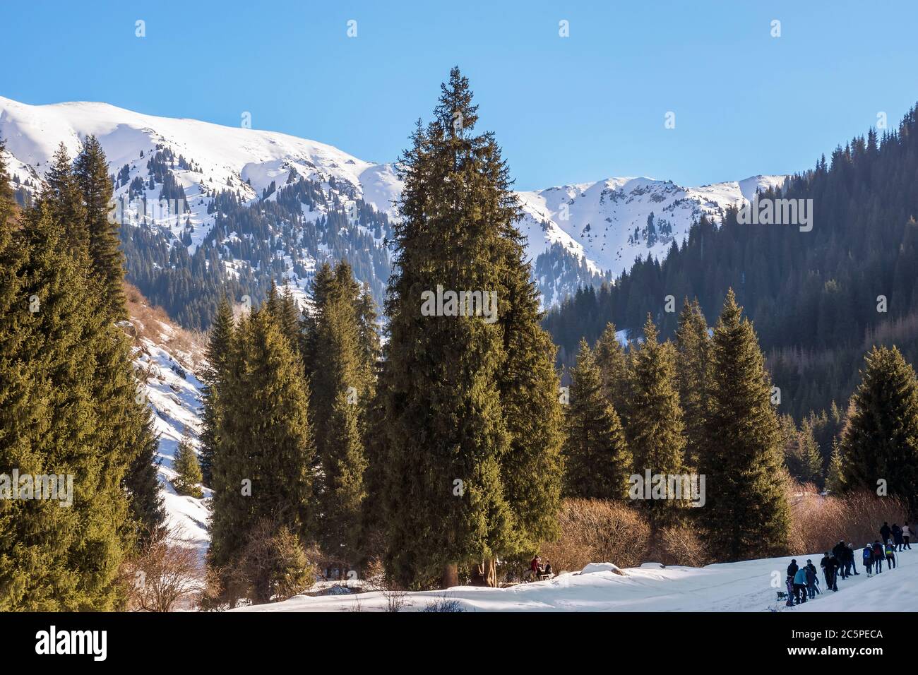 ALMATY, KAZAKHSTAN - 24 JANVIER 2016 : hiver dans les montagnes Tien Shan, canyon Butakovka. Almaty, Kazakhstan - 24 janvier 2016 : hiver à Tien Shan Mo Banque D'Images