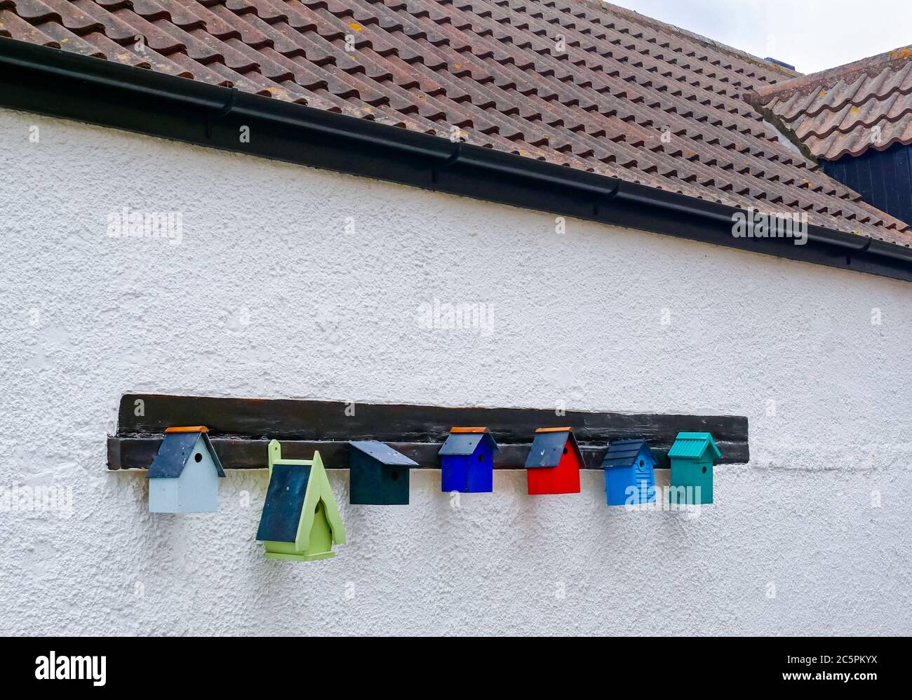 Rangée colorée de boîtes à oiseaux faites à la main sur le mur de la maison, Burnmouth, Berwickshire, Écosse, Royaume-Uni Banque D'Images